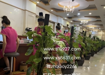 微【zh qiao y 2266】圣淘沙公司上下分负责人