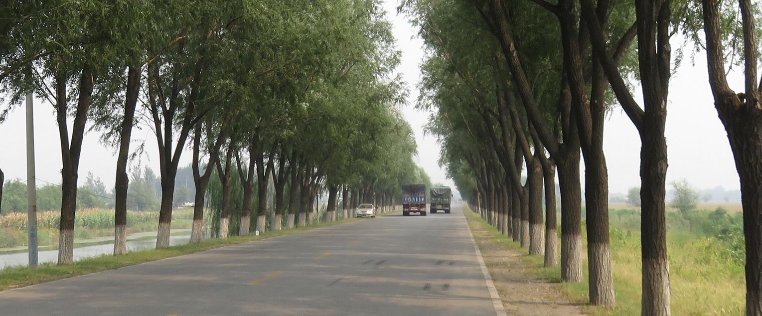 224.jpg
