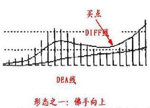 佛手向上.jpg 佛手向上.jpg