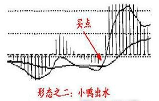 小鸭出水.png 小鸭出水.png