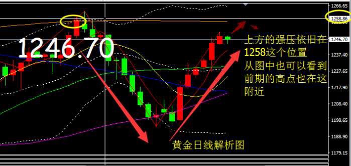 163038idgwpt7d2k74pczz.jpg