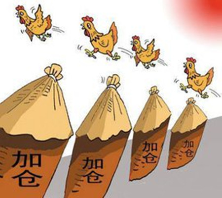 jiacang_副本.jpg