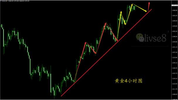 QQ图片20170801133157.jpg