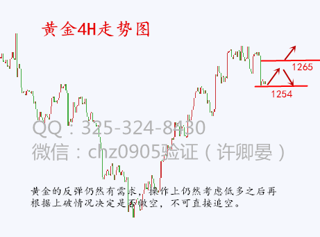 下午图_副本.png