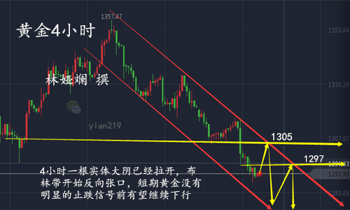 黄金4小时_广.png
