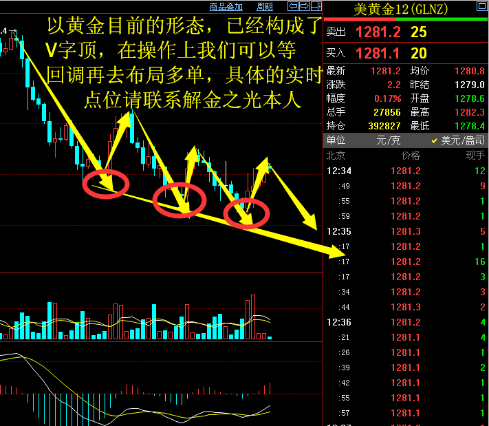 songbai72-黄金.jpg