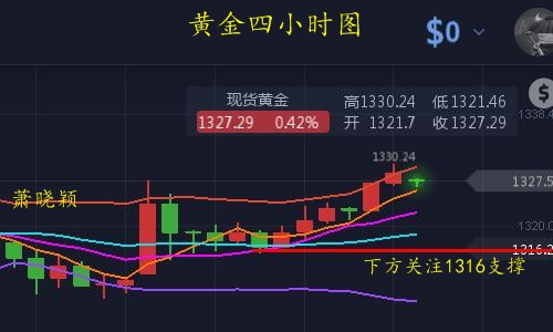 黄金12.jpg