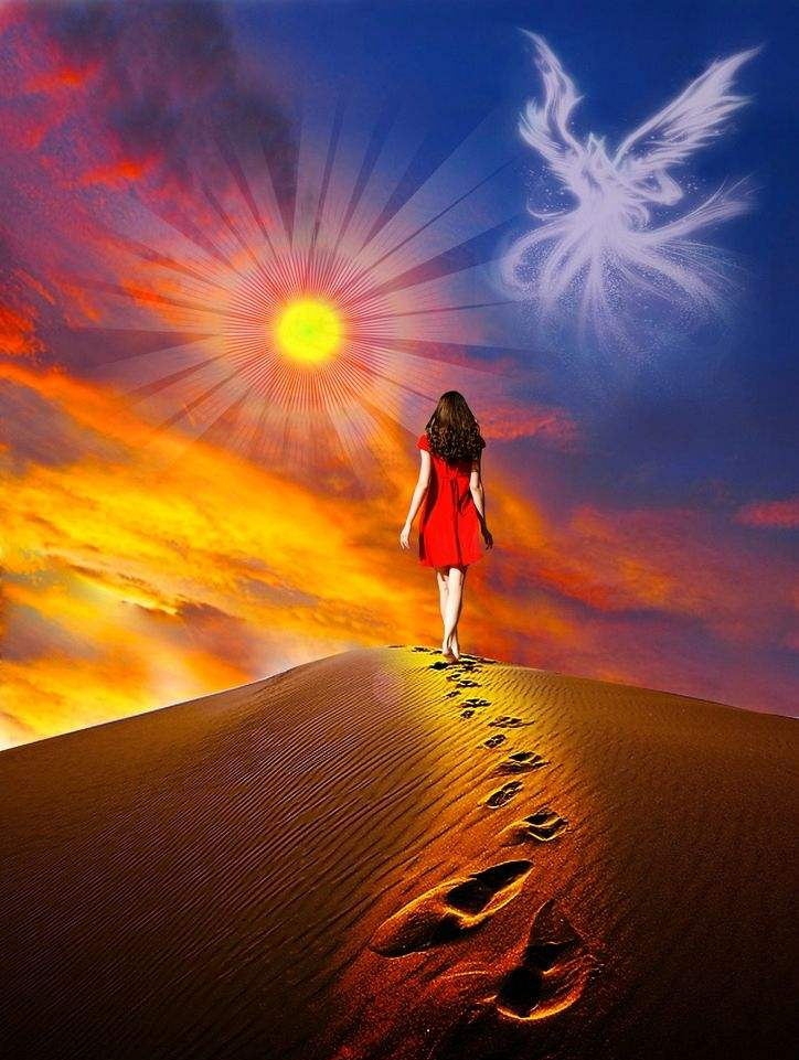 timg (5)_看图王.jpg