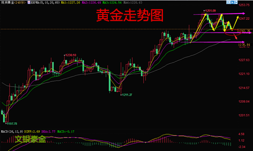 1黄金.png