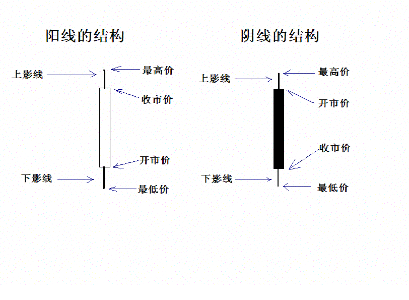 阴阳线的结构.GIF
