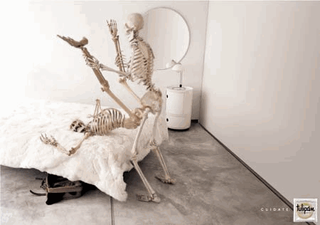 fun.gif