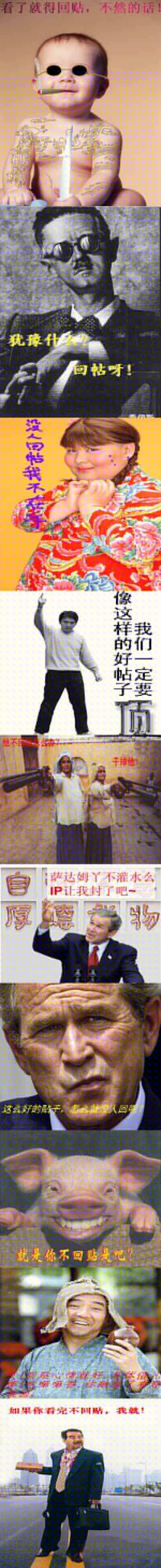 顶的图.jpg