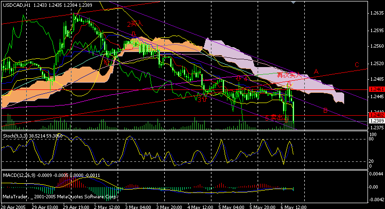 cad 1小时.gif