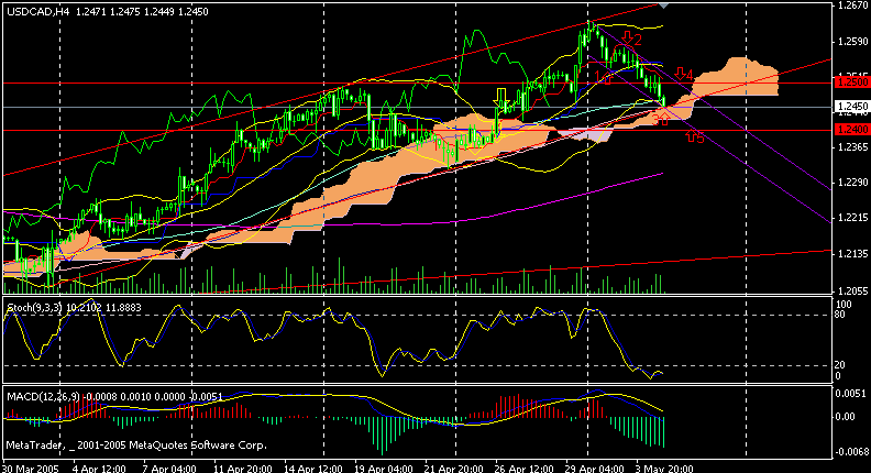 cad 4小时.gif