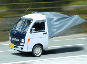 闪.gif