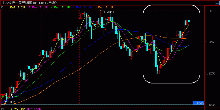 c1.gif