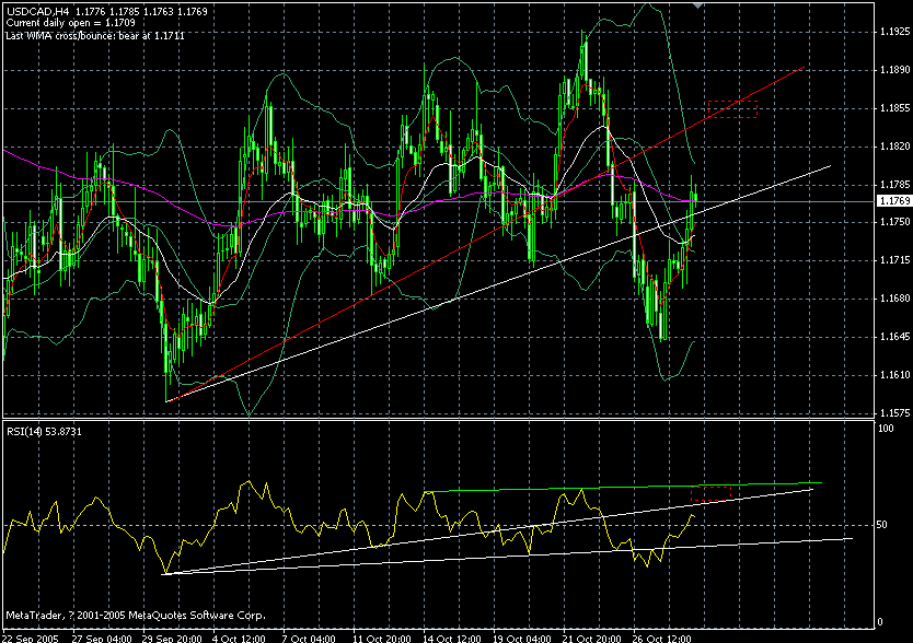 cad--4hours.gif