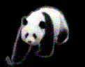15632.gif