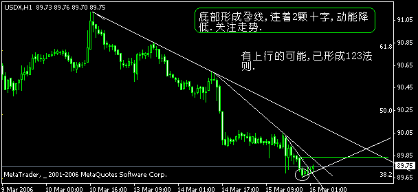 3.gif