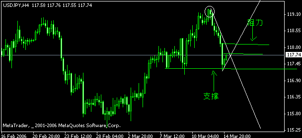 5.gif