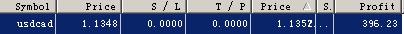 ƽԪ20060306.jpg