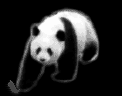 15632.gif
