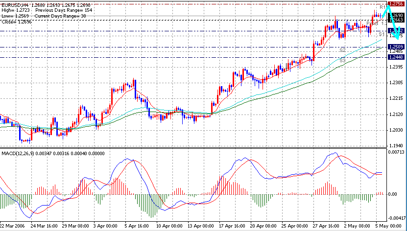 06-05-07EUR.gif