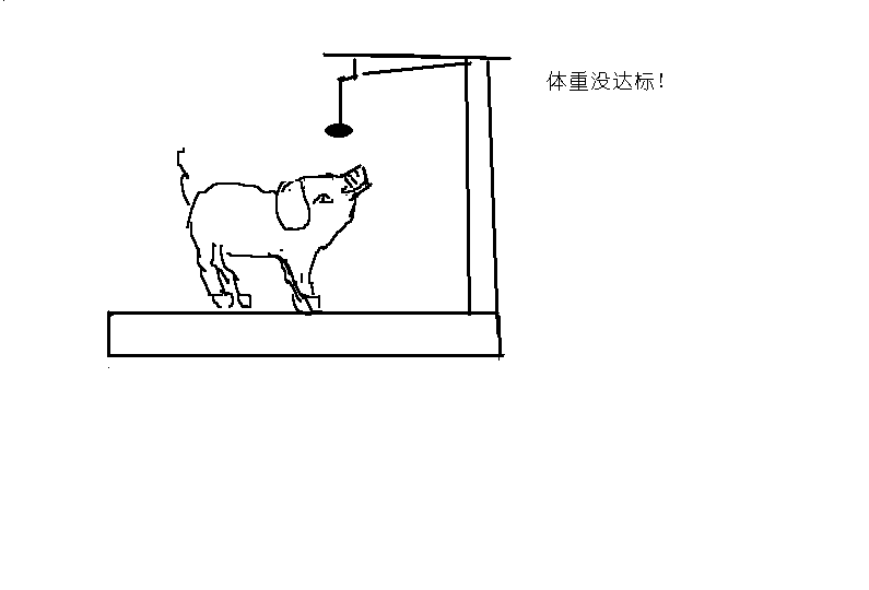 00.gif
