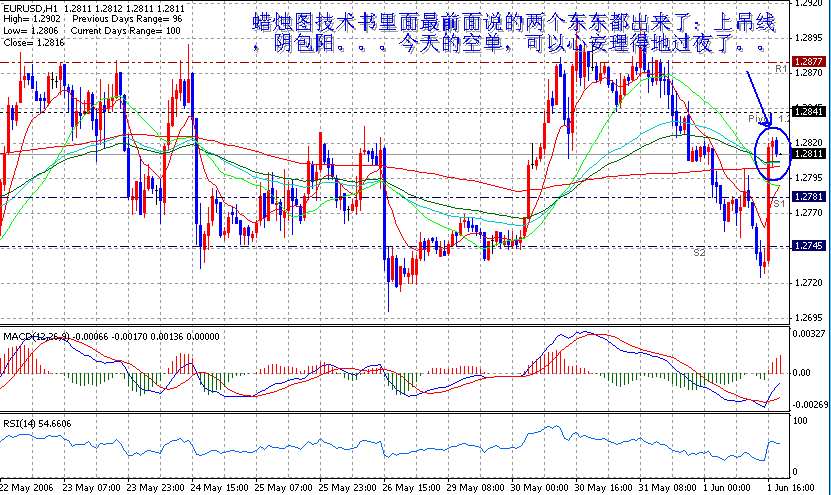06-06-02EUR1H.gif