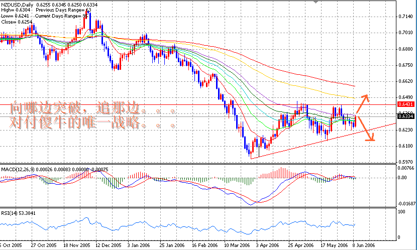06-06-10NZD1D.gif