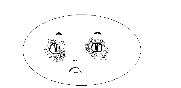 5.gif