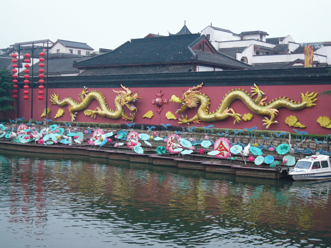 P1080594.gif