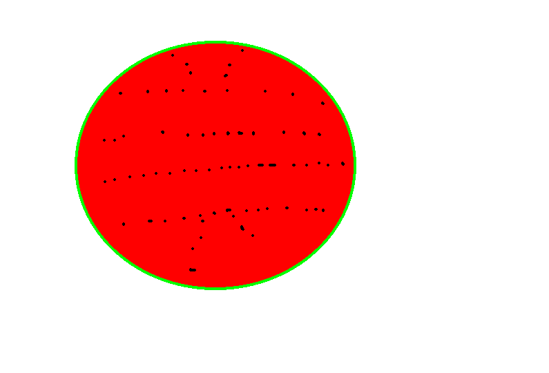 5.gif