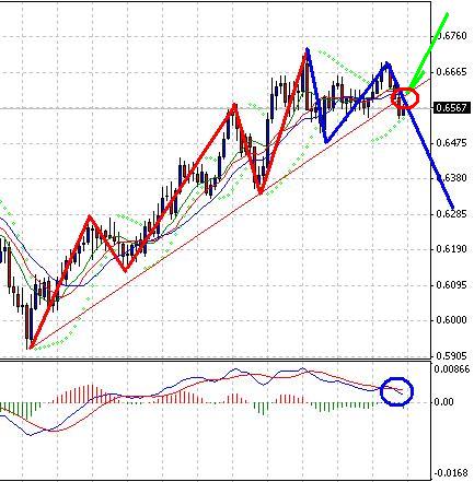 nzd.JPG