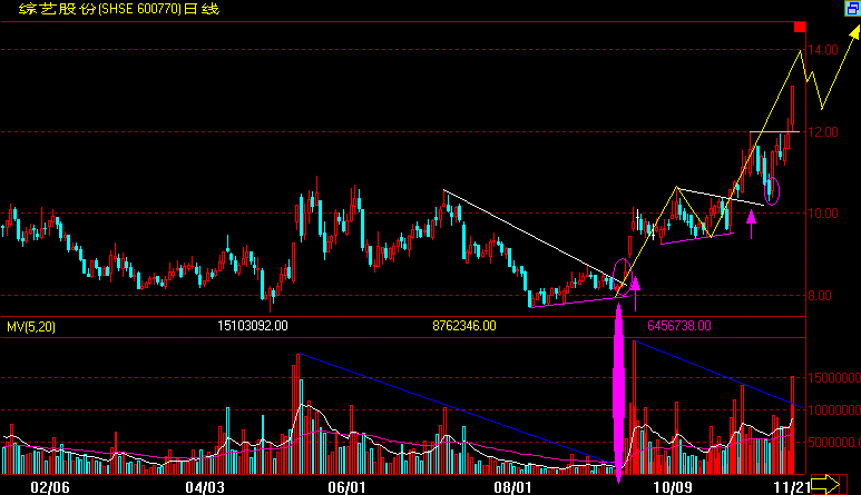 11--20(600770).gif