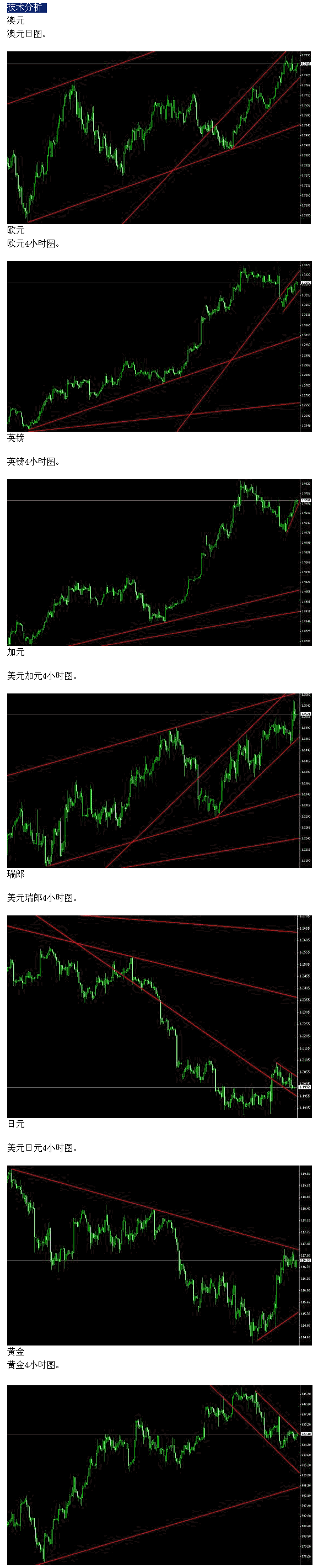 zg.gif