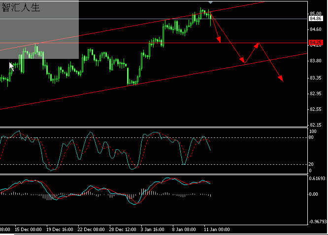 2007-01-11usdx.gif