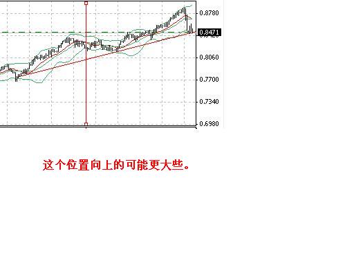 aud-0801.JPG