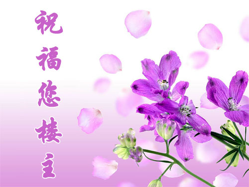 1182703551_2ee122f4cf6a5a520be2dc183d146ddb.jpg