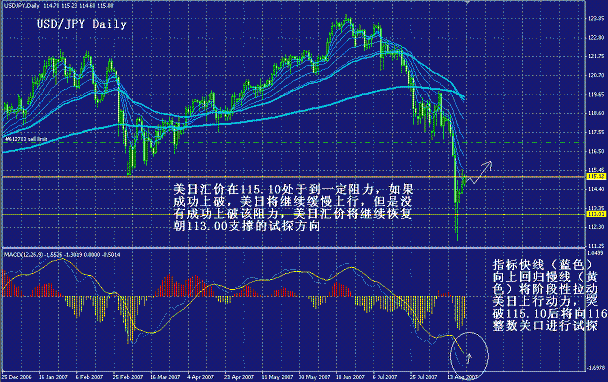 yp3.gif