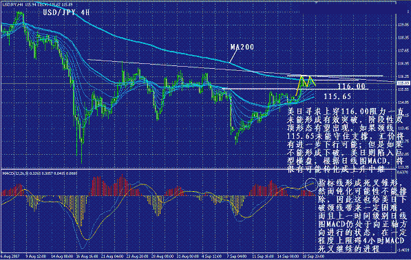 yp3.gif