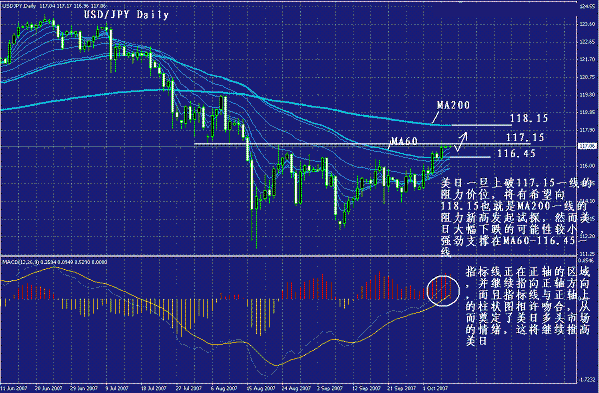 yp3.gif