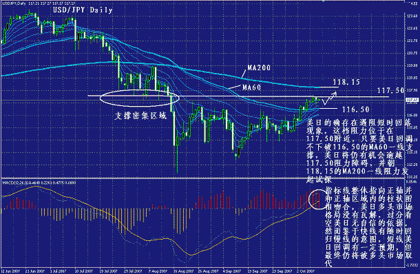 yp3.gif