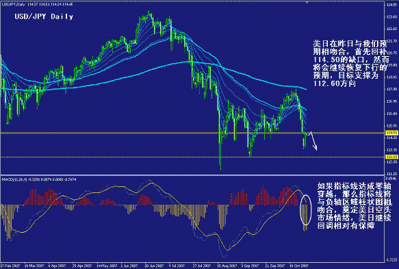 yp3.gif