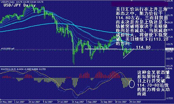 yp3.gif