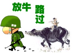 AB31E6D6FED308695A1378ACBD7C21B7.jpg