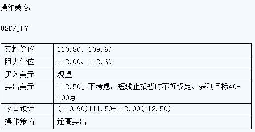 dp1.jpg