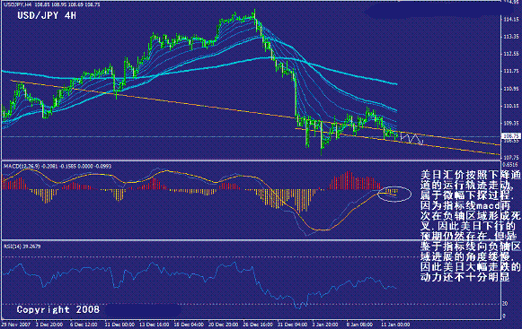yp3.gif