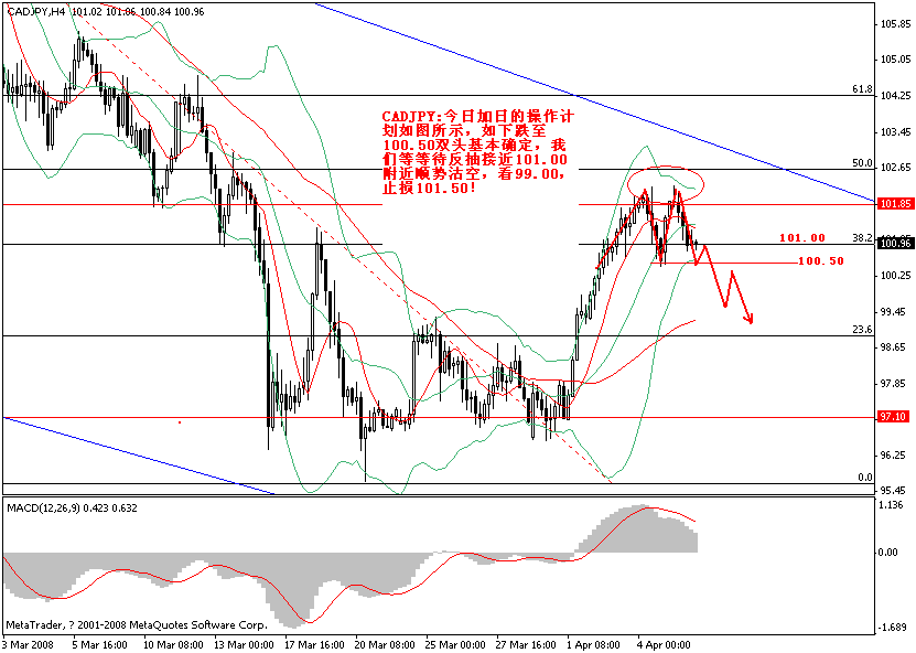 cadjpy0408.gif