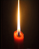 200851414301577288.gif
